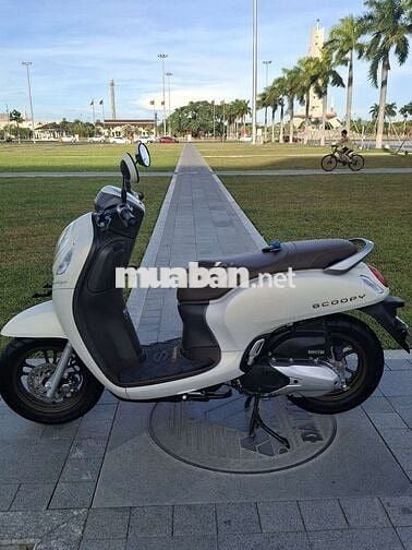 Scoopy 2024, Biển 43. Như mới od 4800km