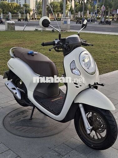 Scoopy 2024, Biển 43. Như mới od 4800km