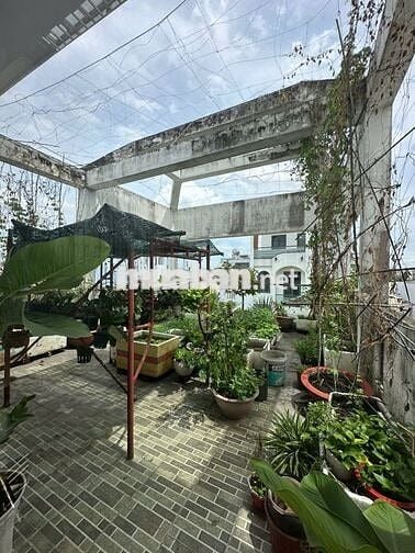 🔥🔥Nhà 85m² 5PN, hẻm xe hơi Mã Lò, Bình Tân, 15 triệu