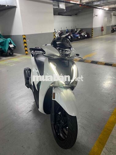 SH 125/2019