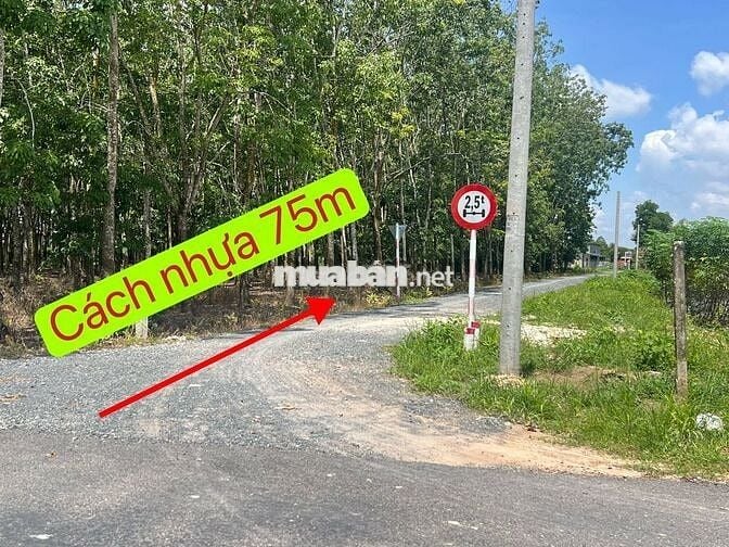 5 x 34 full thổ cư ngay KCN Phước Đông sổ Hồng riêng chỉ 595 triệu
