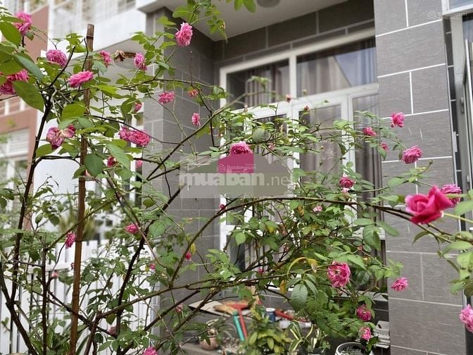 Bán nhà riêng, HXH đường Trịnh Hoài Đức, 9 tỷ, 88,2m2,