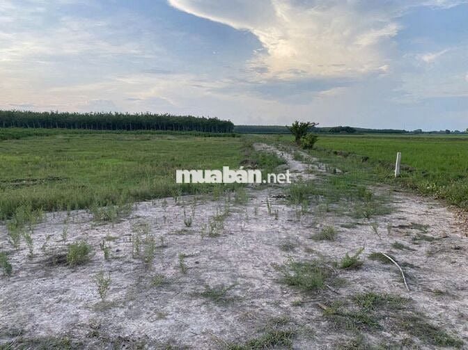 Ấp Suối Ông Đinh - Xã Trà Vong - Huyện Tân Biên - Tỉnh Tây Ninh