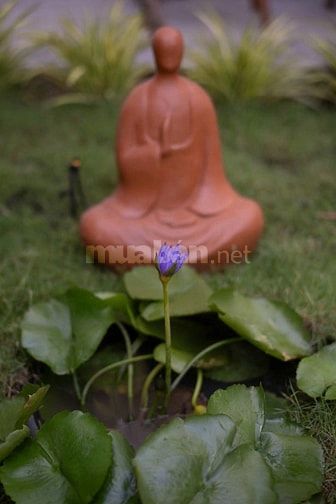 🔥Ngôi nhà siêu xinh ngay trung tâm Thị Trấn Hóc Môn