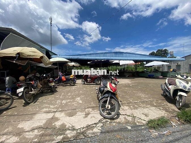 Diện tích 6x27 Mặt Tiền Đường Trung Tâm Hành Chính Tân Triều Biên Hoà