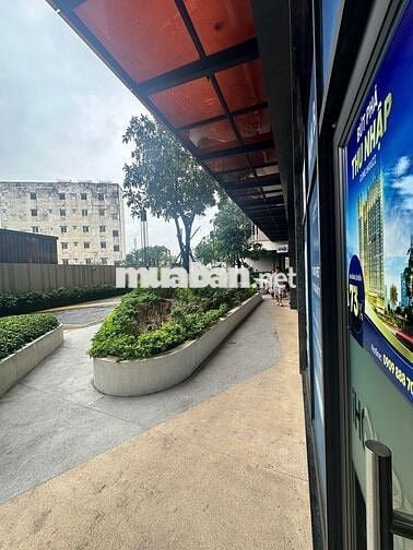 Cho thuê căn shophouse diện tích lớn nhất dự án. Vị trí siêu đẹp.