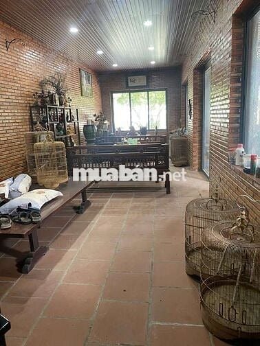 KHO XƯỞNG 1/ 6000M2 TÂN THỚI NHÌ ĐƯỜNG CONT CÓ VP