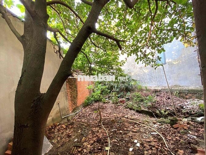 Bán nhà Trảng Dài - Biên Hoà chính chủ 248m2 - Có chủ quyền