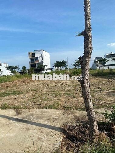 bán đất khu đầm sen hoà quý chỉ 5.5 tỷ