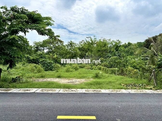 CẮT LỖ SAU DỊCH, BÁN ĐẤT 120M2/ GIÁ 380TR KHU PHỐ 4 DÂN CƯ ĐÔNG, SHR