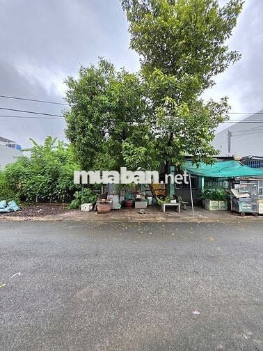 Bán đất gần đường Phạm Văn Diêu 300m, p.Tân Hạnh, Tp.Biên Hòa