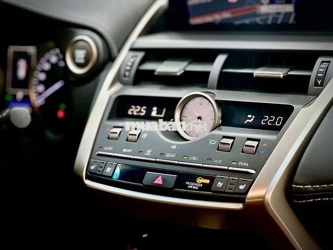 Lexus NX 300 Model 2019  -  Nhập Nhật Siêu Hiếm