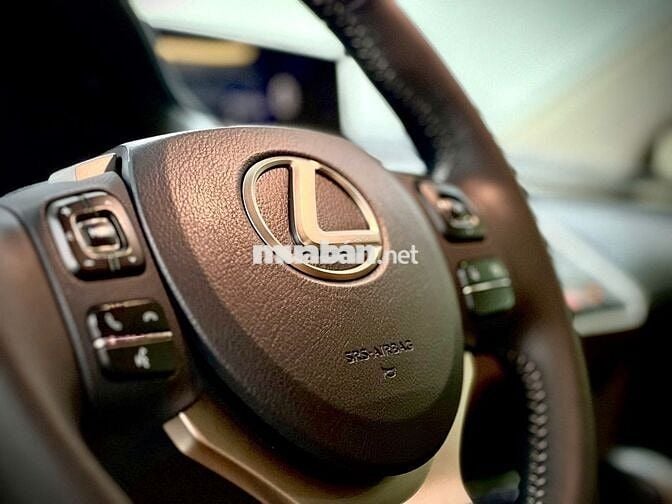 Lexus NX 300 Model 2019  -  Nhập Nhật Siêu Hiếm