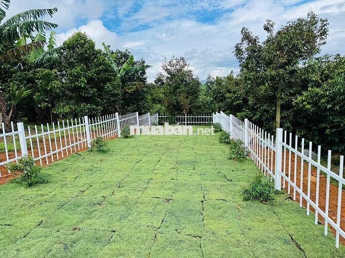 ☁️ ĐẤT Ở NGHỈ DƯỠNG – VIEW MÂY CỰC ĐẸP TẠI LỘC ĐỨC