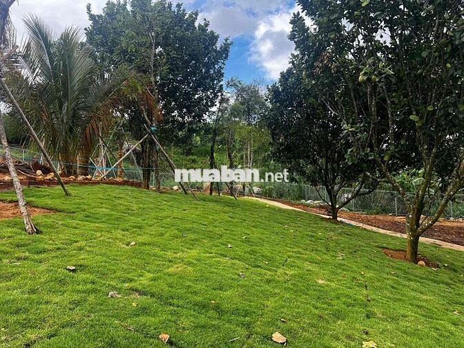 🏡 SỞ HỮU NGAY LÔ ĐẤT NGHỈ DƯỠNG – PHÁP LÝ RÕ RÀNG🤩