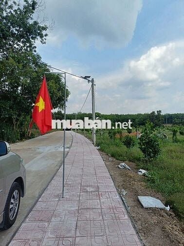 Bán gấp lô đất Phú Giáo,Bình Dương,DT,250m2,Thổ cư 100%,gần KCN