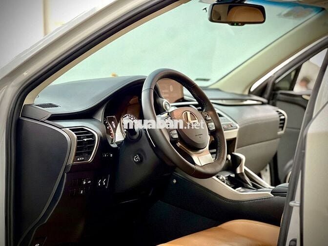 Lexus NX 300 Model 2019  -  Nhập Nhật Siêu Hiếm