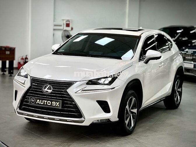 Lexus NX 300 Model 2019  -  Nhập Nhật Siêu Hiếm