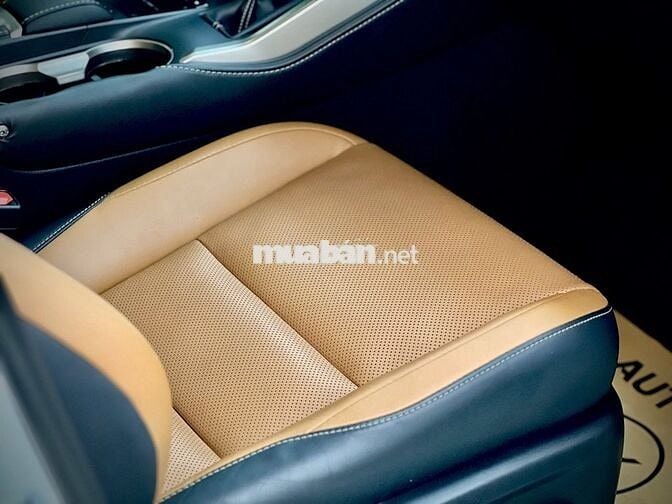 Lexus NX 300 Model 2019  -  Nhập Nhật Siêu Hiếm