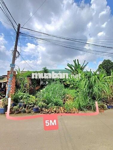 📍Bán 104m2 đất Mặt Tiền Gần KCN Đại Đăng – Giá Siêu Hấp Dẫn!