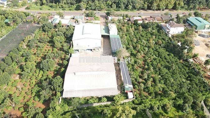 Bán xưởng 4600m2 mặt tiền QL26