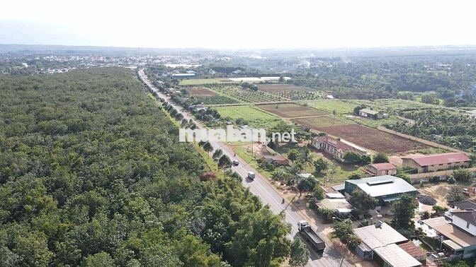 Bán xưởng 4600m2 mặt tiền QL26