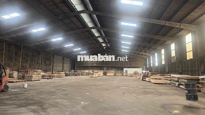 Xưởng Thuận An 2500m/120tr Có PCCC Đường Cont