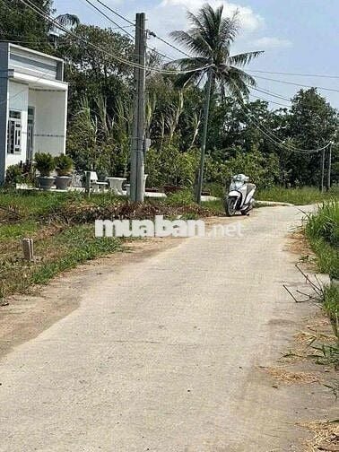 395tr sổ hồng riêng , xã đức tân - tân trụ - long an , dt :145mv thổ