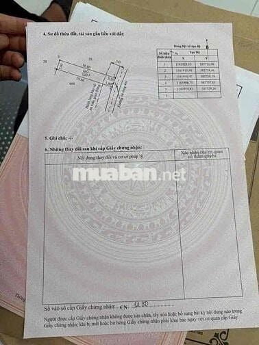 395tr sổ hồng riêng , xã đức tân - tân trụ - long an , dt :145mv thổ