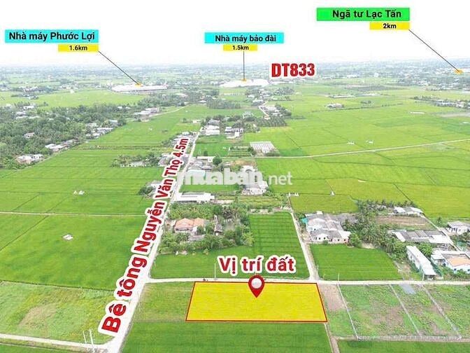 thổ cư giá 490tr , dt : 130mv ấp 3 lạc tấn - tân trụ - long an