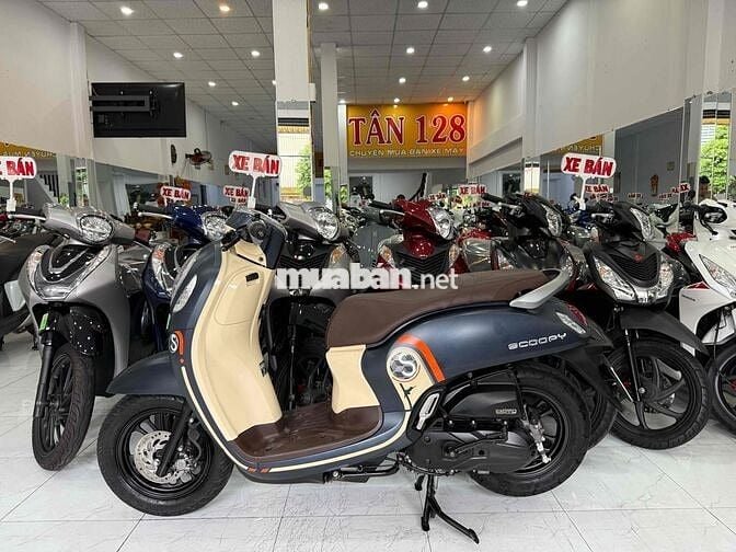 SCOOPY 2021. Xe Zin Êm Đẹp. Máy Zin Cực Êm. BS 68