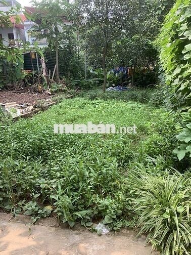 cần bán đất tại Quang trung, yên nghĩa, Hà Đông