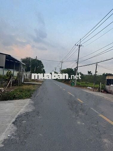 Ngộp Nặng! Đất 256m² Đường Bùi Thị Diệt, Phạm Văn Cội – Giá 650 Triệu