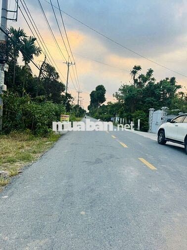 Ngộp Nặng! Đất 256m² Đường Bùi Thị Diệt, Phạm Văn Cội – Giá 650 Triệu