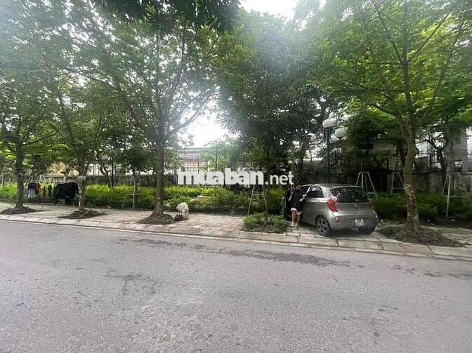 Bán đất Cổng Đồng La Khê Hà Đông 50m Mt4.2m -Giá 11.45 tỷ