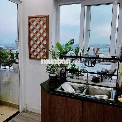 cho thuê căn hộ phúc đạt 2pn full nội thất