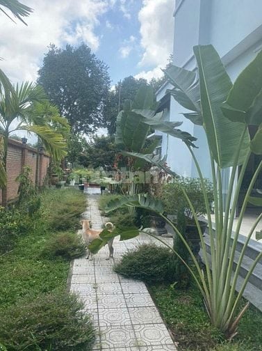 CHÍNH CHỦ BÁN BIỆT THỰ ĐẲNG CẤP