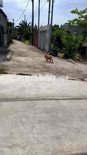 Bán lô đất 500m2 đất Biệt Thự đường thông 5m điện nước dân kính lên th