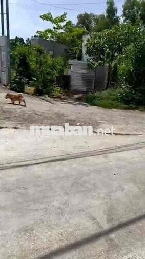 Bán lô đất 500m2 đất Biệt Thự đường thông 5m điện nước dân kính lên th
