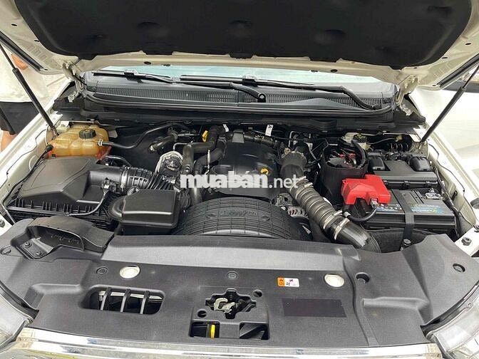 Ford Everest 2019 Titanium 2.0L AT 4x2 - 830000 km