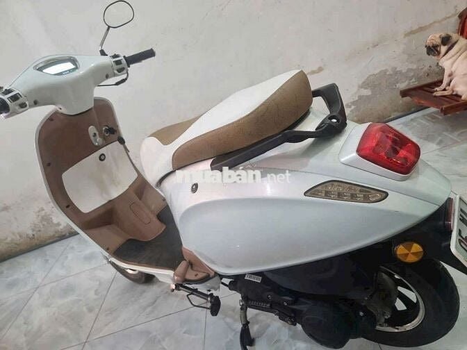 50cc xe zin.máy zin đúng chủ bán góp