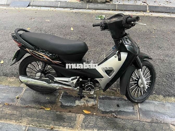 bán xe zin cho học sinh