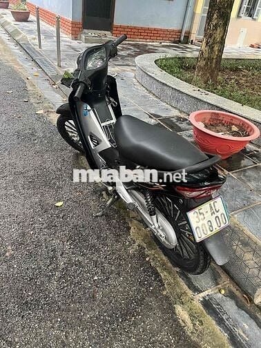 bán xe zin cho học sinh