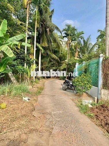 💥💥BÁN NỀN MẶT TIỀN RẠCH ÔNG ĐỘI, LONG TUYỀN BÌNH THỦY TPCT, CÁCH CẦU B