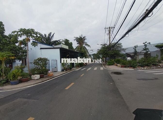 Cần bán đất mặt tiền đường Trịnh Quang Nghị  cách Phạm Thế Hiển 100m