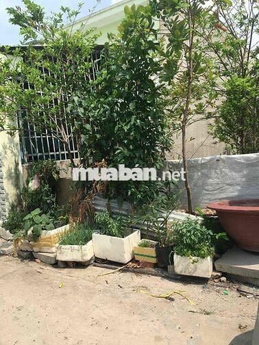 Đất biên nhận đo bao năm 2007 ra sổ được