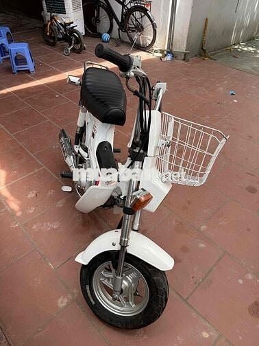 Thanh lý  chaly 50cc học sinh không cần bằng lái