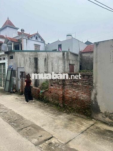 Chính chủ bán đất trung tâm Phụng Châu – ô tô tránh nhau – gần UB, trạ