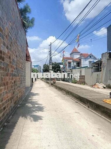 Chính chủ bán đất trung tâm Phụng Châu – ô tô tránh nhau – gần UB, trạ