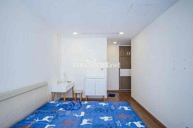 cho thuê căn hộ Vinhomes Central Park, p22 quận bình thạnh